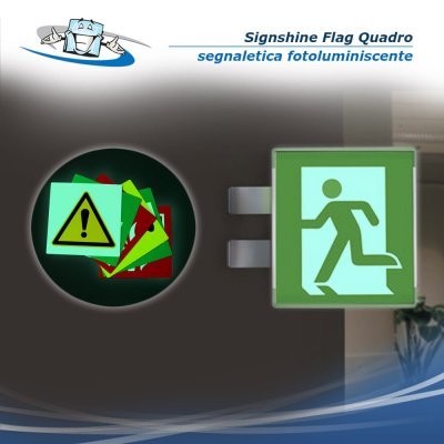 Signshine Flag Quadro - Segnaletica di sicurezza luminescente a bandiera da parete in vari simboli e 2 formati
