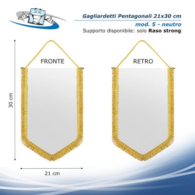 Gagliardetto pentagonale 21x30 cm neutro retro bianco