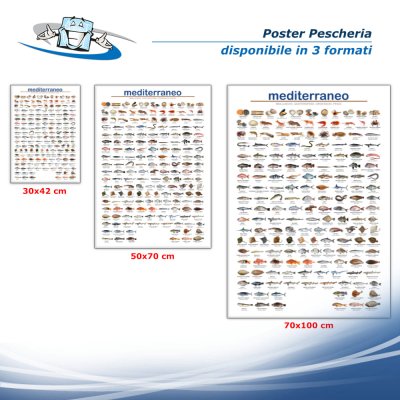 Poster pescheria "Pesci del Mediterraneo" in vinile adesivo opaco o forex 5 mm