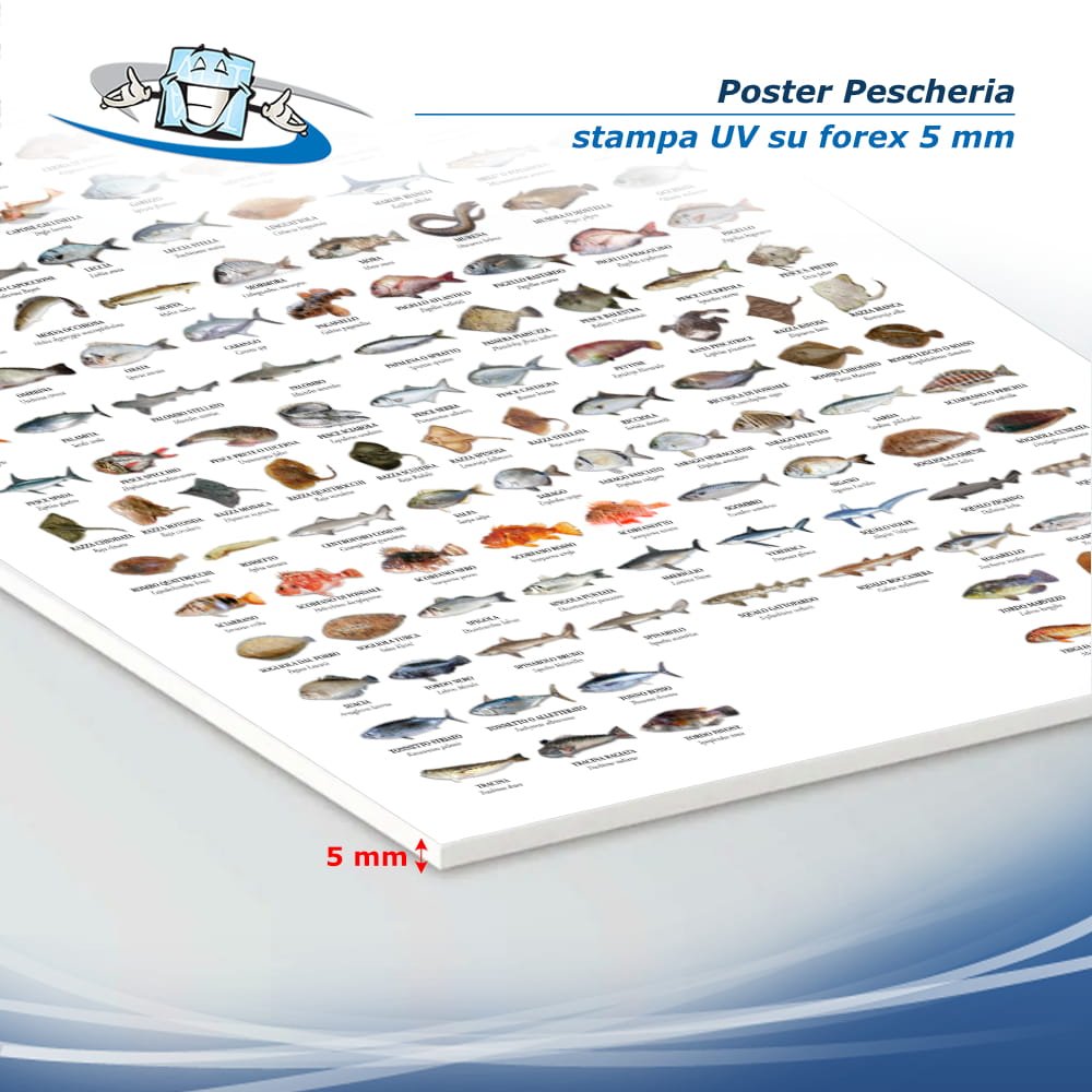 Poster pescheria "Pesci del Mediterraneo" in Forex 5 mm