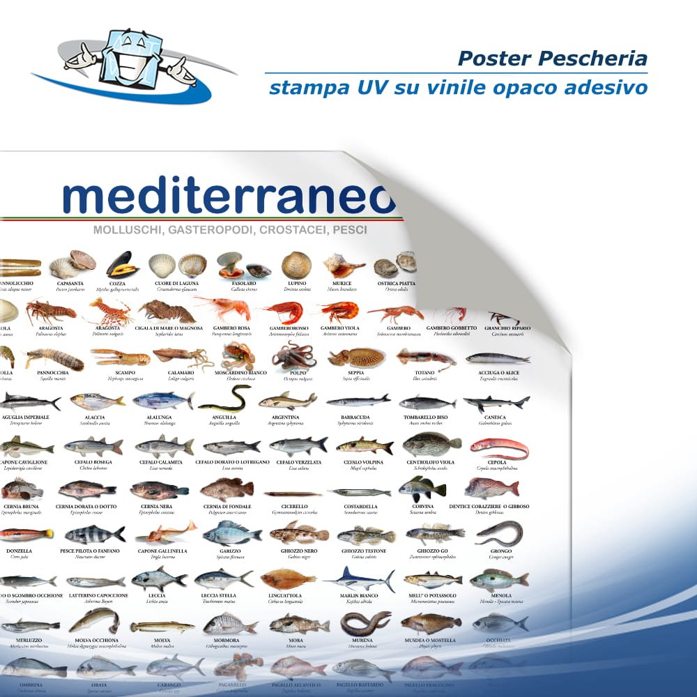 Poster pescheria "Pesci del Mediterraneo" in vinile adesivo opaco