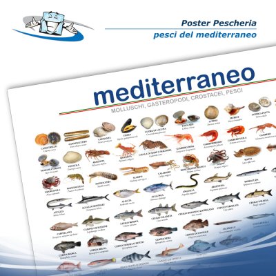Poster pescheria "Pesci del Mediterraneo" in vinile adesivo opaco o forex 5 mm