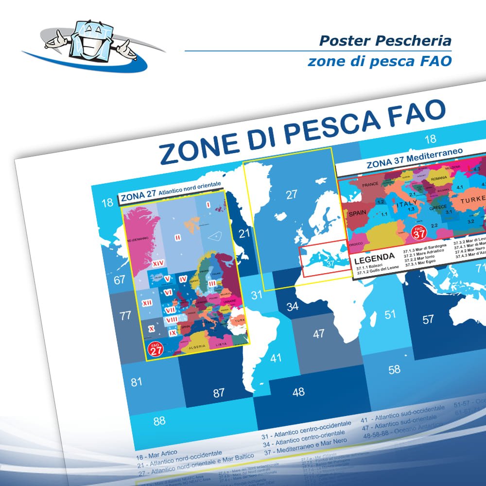 Poster pescheria "Zone di pesca FAO" in vinile adesivo opaco o forex 5 mm
