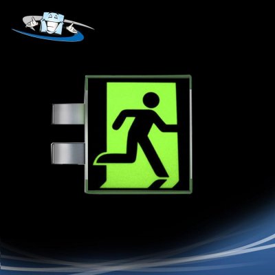 Signshine Flag Quadro - Segnaletica di sicurezza luminescente a bandiera da parete in vari simboli e 2 formati