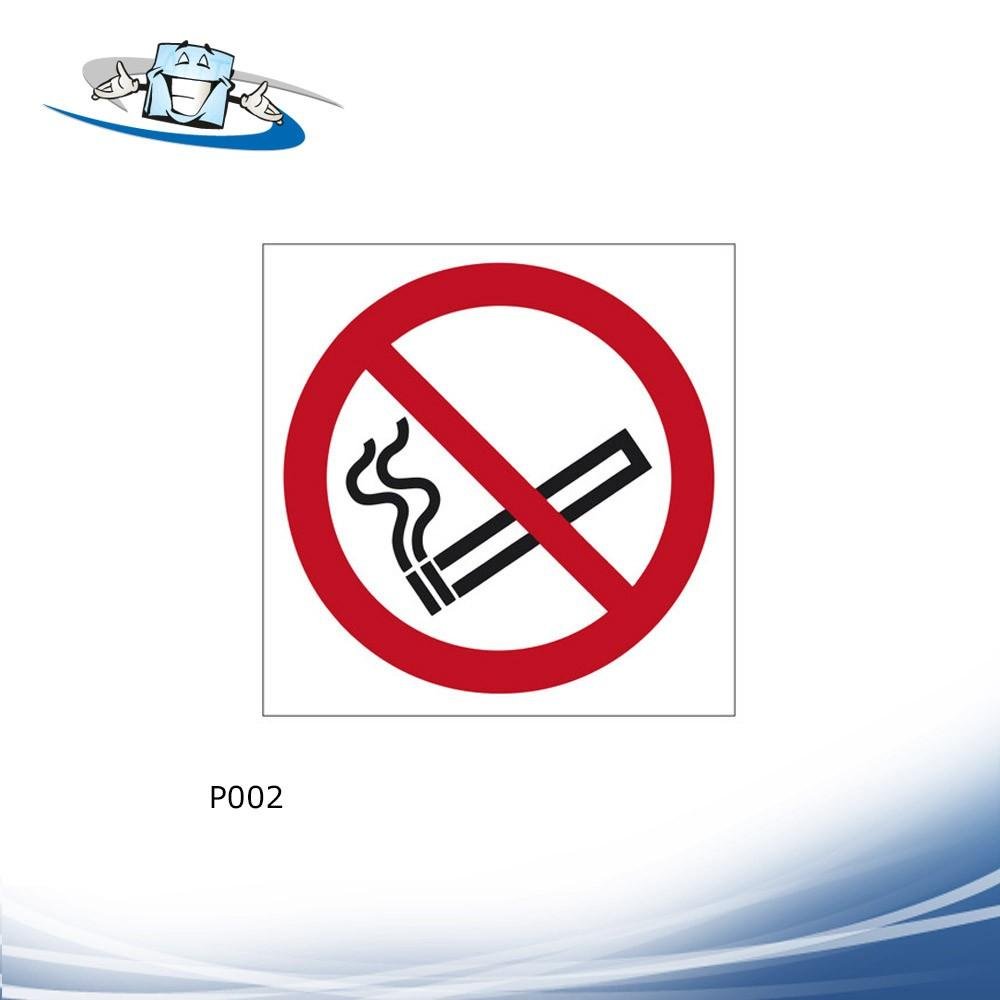 Signshine Flag Quadro - Segnaletica di sicurezza luminescente a bandiera da parete in vari simboli e 2 formati