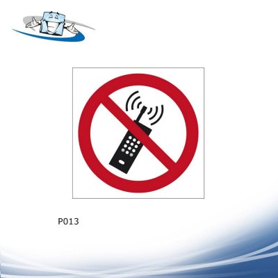 Signshine Flag Quadro - Segnaletica di sicurezza luminescente a bandiera da parete in vari simboli e 2 formati