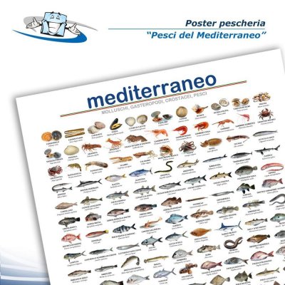 Poster pescheria "Pesci del Mediterraneo" in cartoncino o PVC